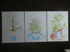 Still Life Promarker Drawings # 1  x 3  A3
