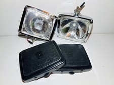 RARE Et Magnifique Paire