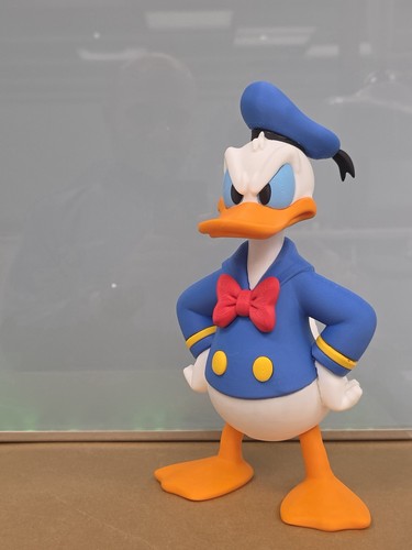 Custom printed donald - 3d,