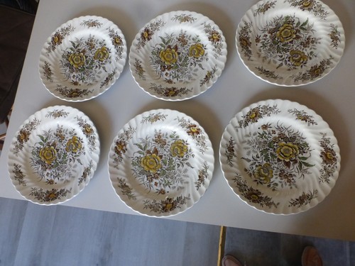 Lot assiettes plates - 6,