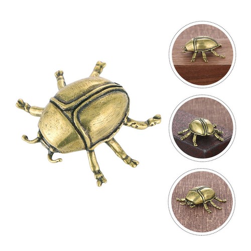 Coccinelle laiton animaux - animaux, en