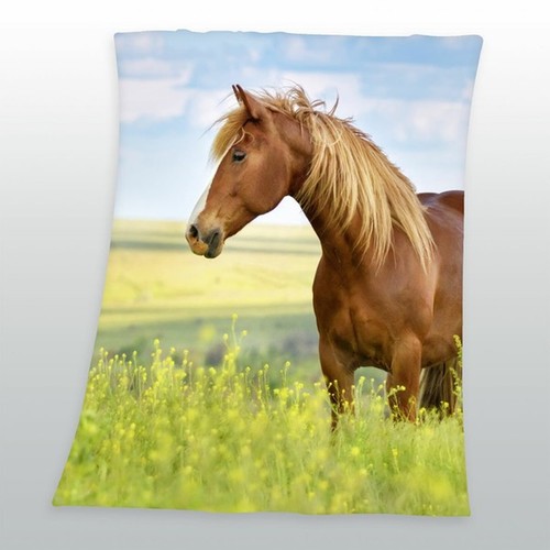 Couverture polaire pour - couverture,