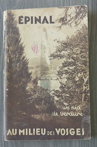 Livre guide officiel - guide,