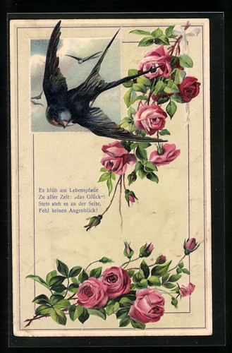 Carte postale relief - postale,