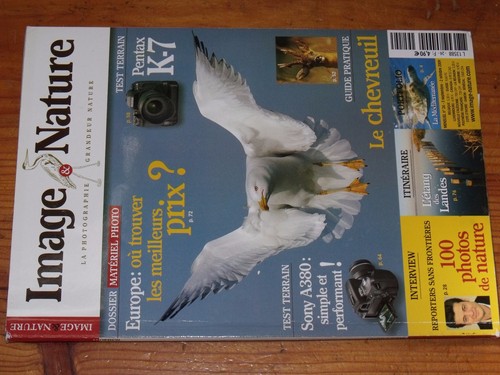 Image nature n 24 - image, &
