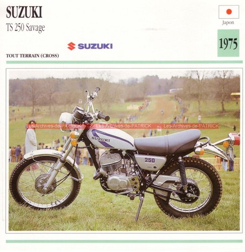 Suzuki 250 savage - 250,