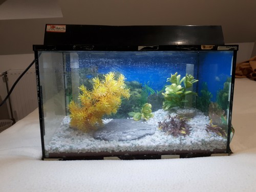 Aquarium litre complet - aquarium,