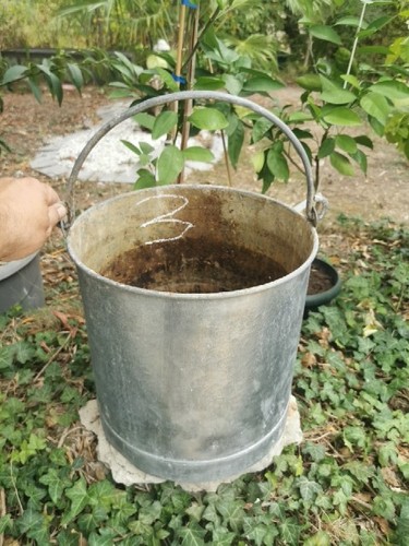 Bassine zinc panier plants - zinc, À