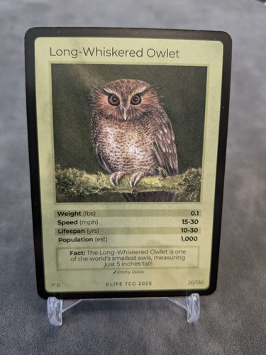 Life tcg birds - life,