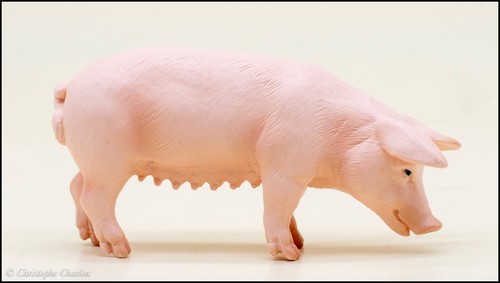 Schleich 13288 truie - 13288,