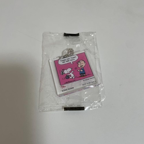 Porte clés acrylique snoopy - acrylique,