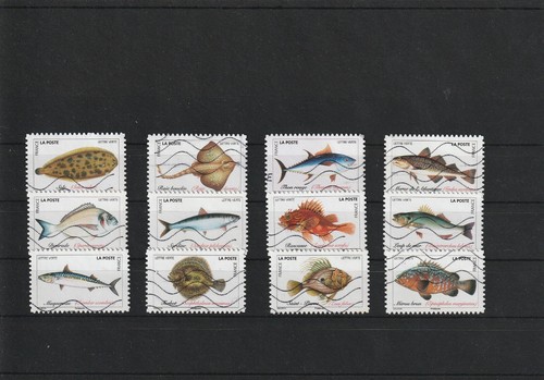 France 2019 les poissons - france, serie