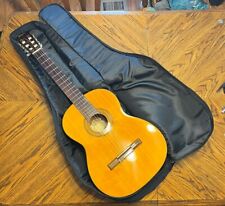 Washburn Model C40 Classical Series Acoustic Guitar In Case
