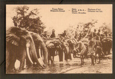 CONGO BELGE  carte non postale   Eléphants d'Api (avec hommes dos) /ed.Desaix