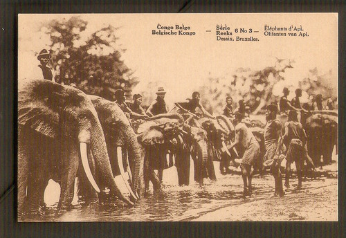 Congo belge carte - non, postale
