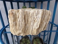 Enorme morceau de bois