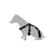 Harnais de sécurité voiture  S / 35-50 cm pour chien