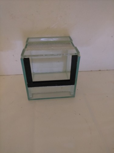 Terrarium 10x10x10 phidippus - terrarium,