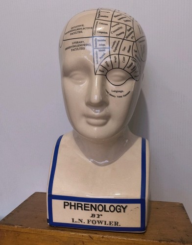 Vintage large phrenology - large, study