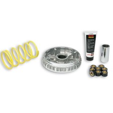 Variateur MALOSSI Multivar