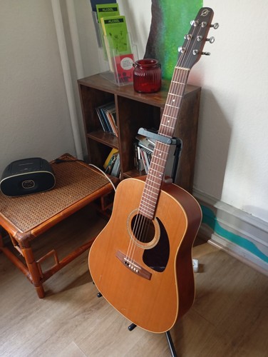 Guitare folk seagull cedar - seagull, s6+cedar