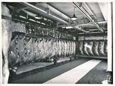 Cold Room Meat Photo Film Photographer Era Ph PICHON