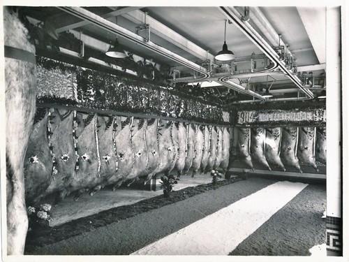 Chambre froide viande - , photo