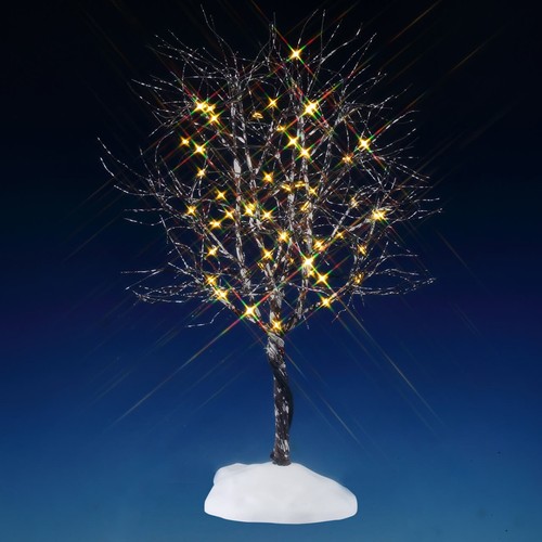 Butternut tree clear light - tree,