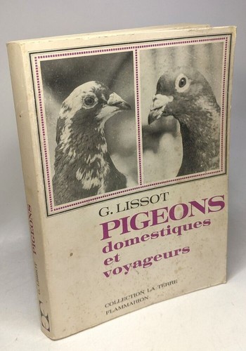 Pigeons domestiques - , et
