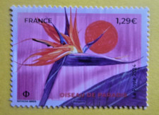 2024 NEUF N° 5750  OISEAUX DE PARADIS
