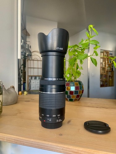 Objectif zoom canon 300 - zoom, ef
