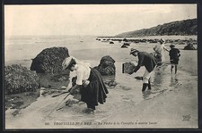Old postcard Trouville-sur-Mer, Shrimp Fishing at low tide 