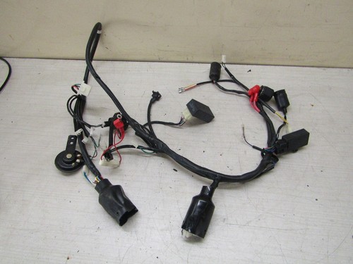 Faisceau electrique pour - electrique,