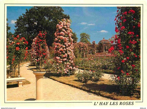 Carte postale - carte,