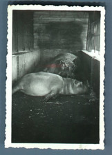 Galdin, France, Paris, Cirque