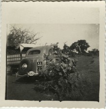 ANTIQUE PHOTO - VINTAGE SNAPSHOT - CAR LICENSE PLATE