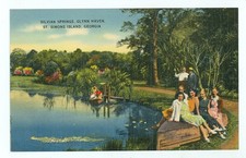 St. Simons Island, Georgia, Silvian Springs Glynn Haven (StSimonsGA46