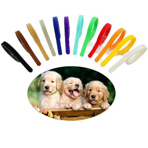 Colliers identification chiot - colliers,