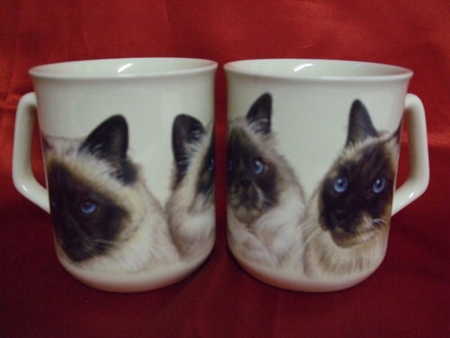 Tasse mug motif chat - /,