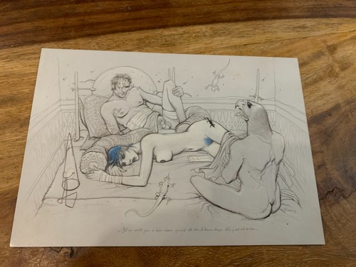 Carte postale 15x10 tintin - tintin, tbe
