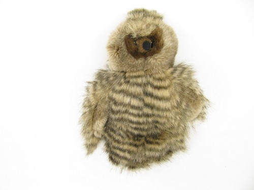 Owl animal golf - animal,