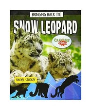 Bringing Back the Snow