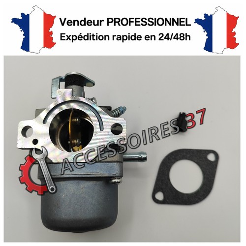 Carburateur briggs stratton - carburateur, &