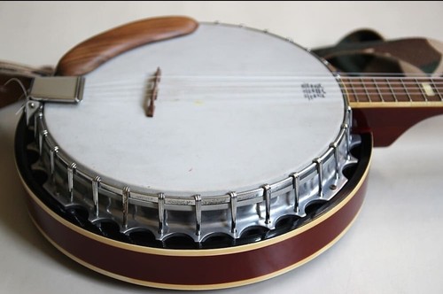 Banjo samick cordes vintage - samick, 5
