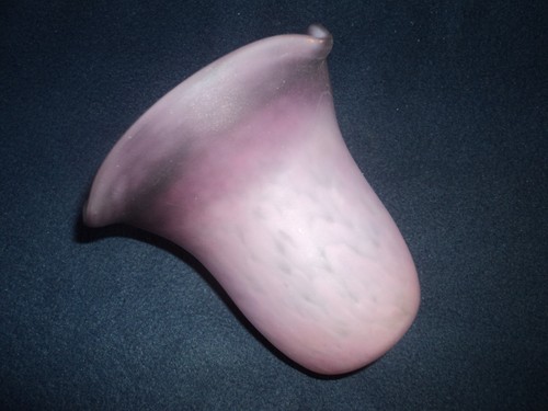 Ancienne tulipe pate de - ancienne,