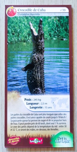Carte merveilles monde - du,