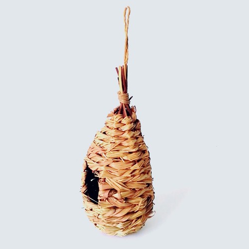 Garden bird shelter - bird, nesting