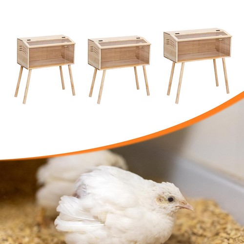 Couveuse bois pour - couveuse,