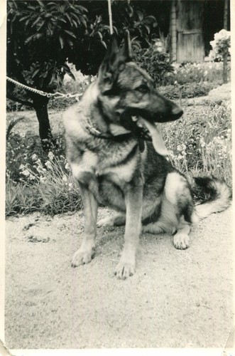 July 1962 photo beautiful - july,
