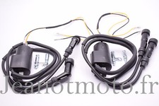 Paire de bobines d'allumage